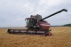 Grain harvesting combine GS2124