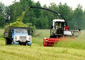FORAGE HARVESTING MACHINERY IN USE