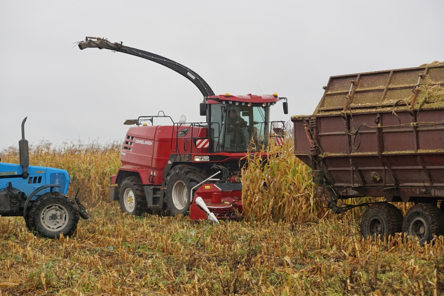 Forage harvester FS650