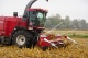 Forage harvester FS650