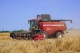 Grain harvesting combine GH800 / GH810