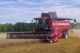 Grain harvesting combine GH800 / GH810