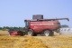 Grain harvesting combine GH800 / GH810