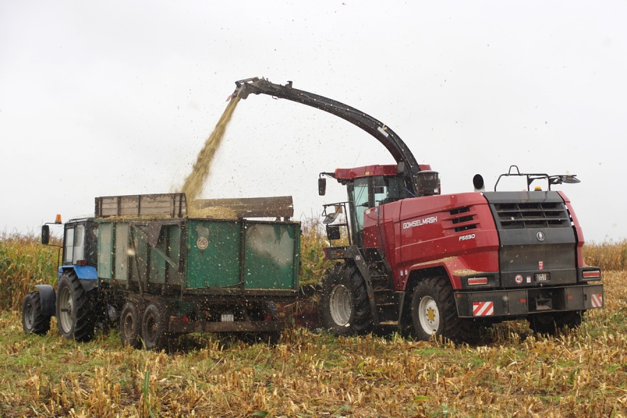 Maize headers