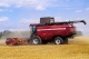 Grain harvesting combine GH800 / GH810
