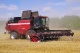 Grain harvesting combine GH800 / GH810