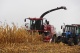Maize headers