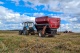 Grain cart BZ-1