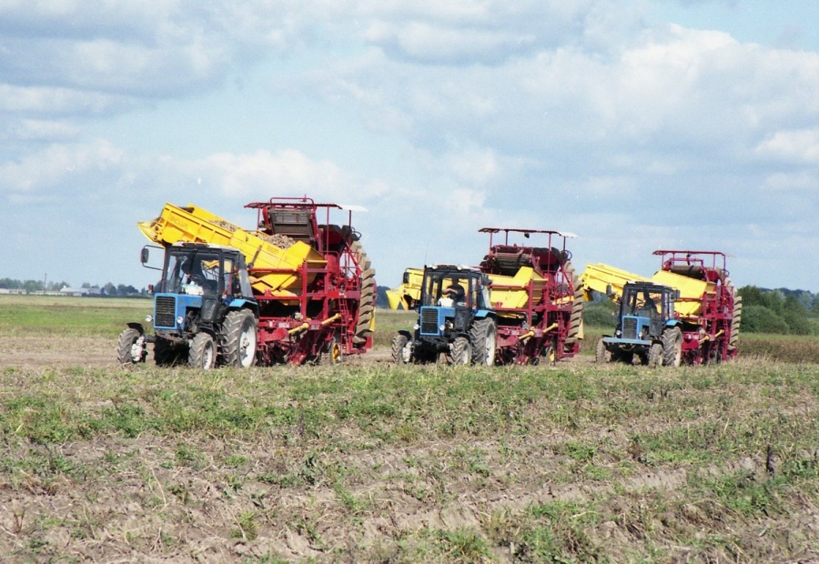 Semi-trailed potato harvester PT25