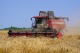 Grain harvesting combine GH800 / GH810