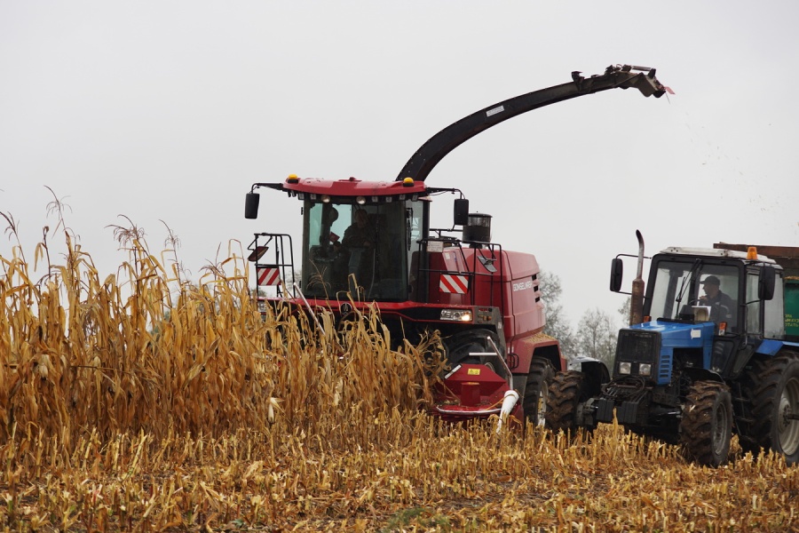 Forage harvester FS650