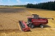 Grain harvesting combine GH800 / GH810