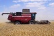 Grain harvesting combine GH800 / GH810