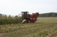 Corn harvester ES4