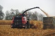 Maize headers