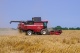 Grain harvesting combine GH800 / GH810